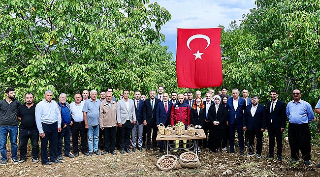 Başkan Toptaş, AB tescilli cevizlerin hasat şenliğine katıldı