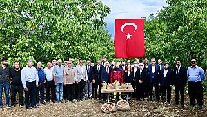 Başkan Toptaş, AB tescilli cevizlerin hasat şenliğine katıldı