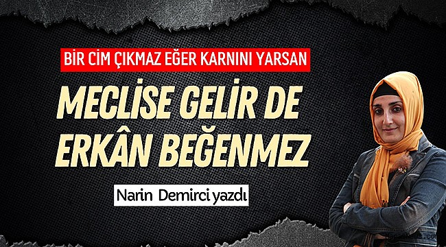 Bir cim çıkmaz eğer karnını yarsan, meclise gelir de erkân beğenmez