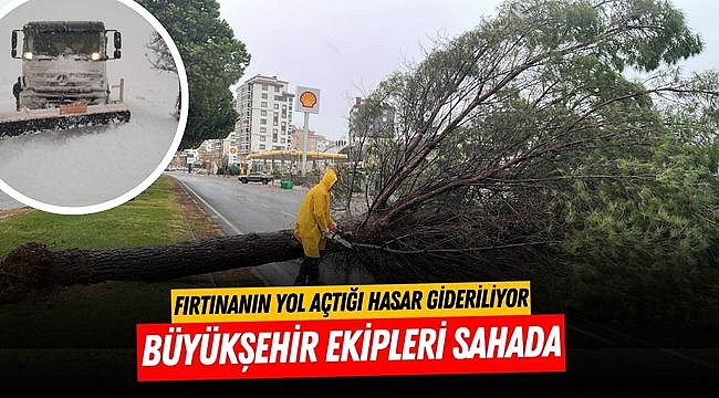 Büyükşehir Ekipleri Sahada