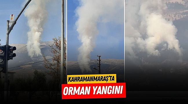 Kahramanmaraş’ta orman yangını