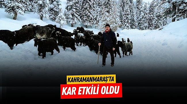 Kahramanmaraş'ta kar etkili oldu