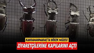 Kahramanmaraş’ta Böcek Müzesi Ziyaretçilerine Kapılarını Açtı